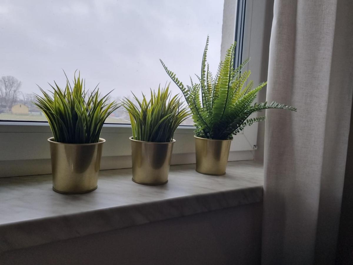 Apartamenty Pastelowe, Suntago, Deepspot, 姆什乔努夫 外观 照片